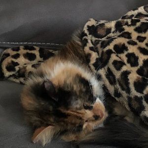 Meet your Posher, Audrey